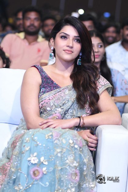 Raja-The-Great-Movie-Pre-Release-Function